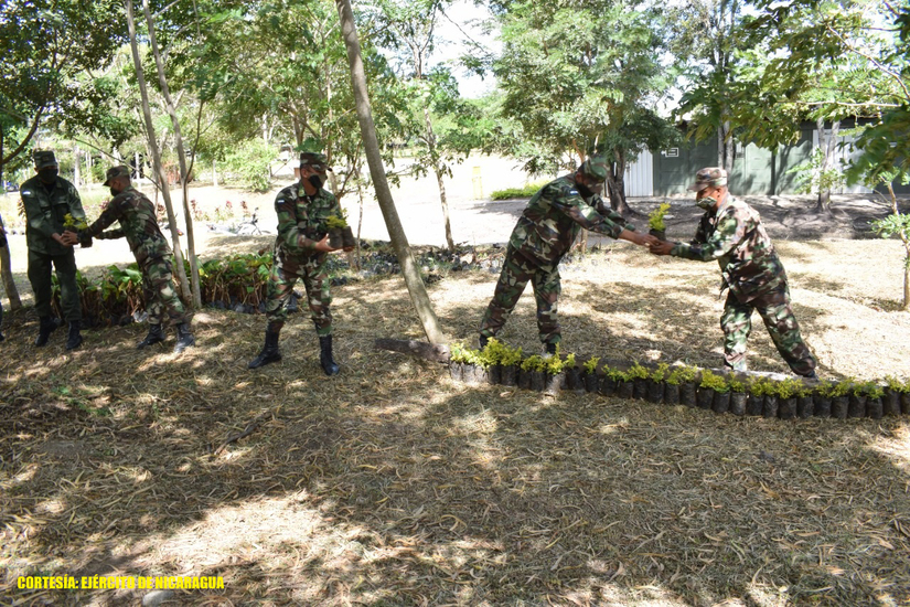 ejercito